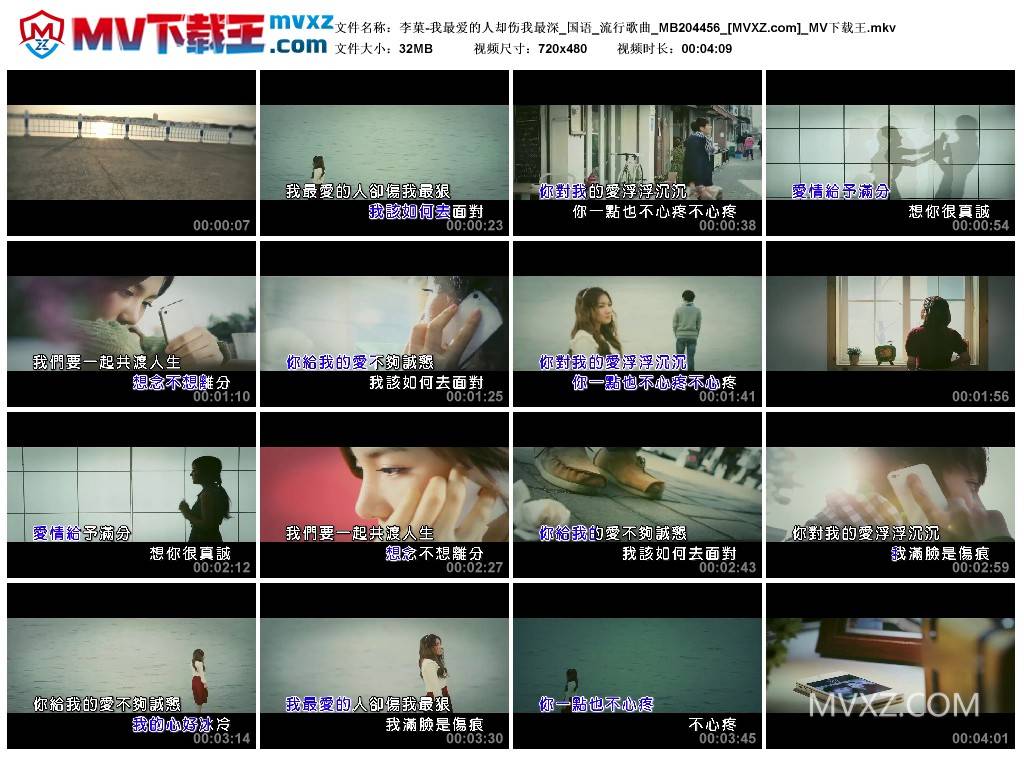 李菓-我最爱的人却伤我最深_国语_流行歌曲_MB204456